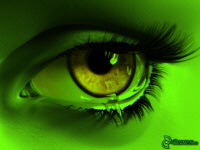 brown_eye_2.jpg